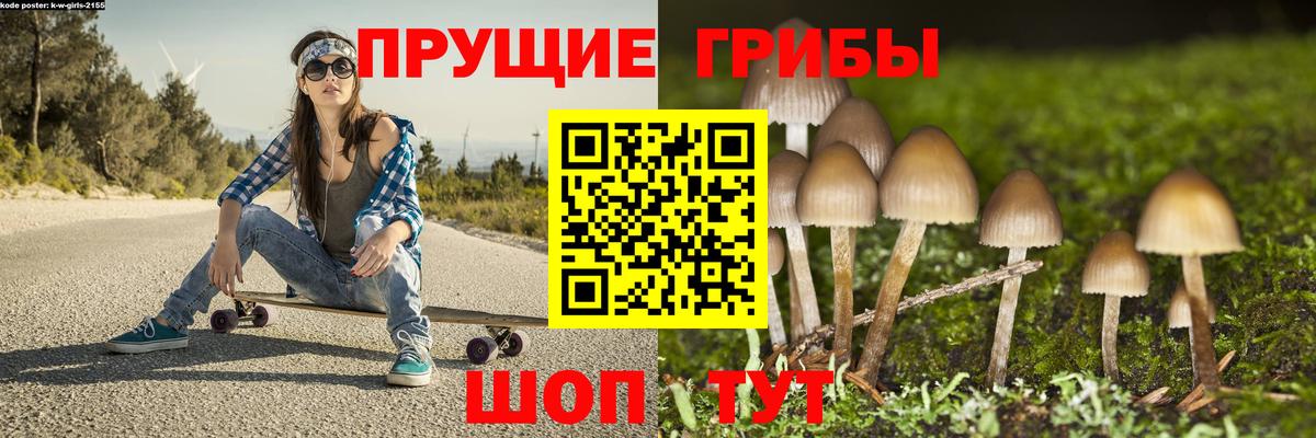 Псилоцибиновые грибы Magic Shrooms Котельники
